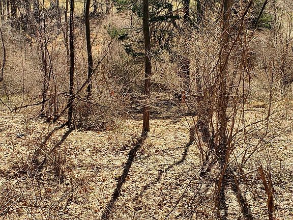 5th image of 333 Whitfield Road