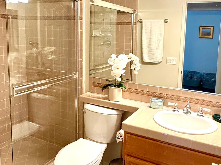 Downstairs bathroom
