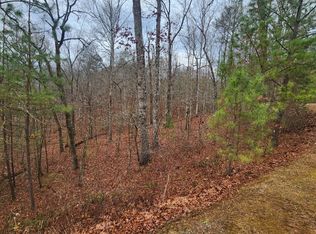 9 N Harris Creek Dr, Ellijay, GA 30540