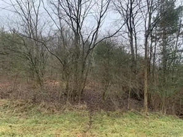 LOT 6 Ringertown Rd, Export, PA 15632