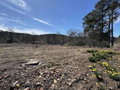 Columbus Blvd, Cordova, AL, 35550