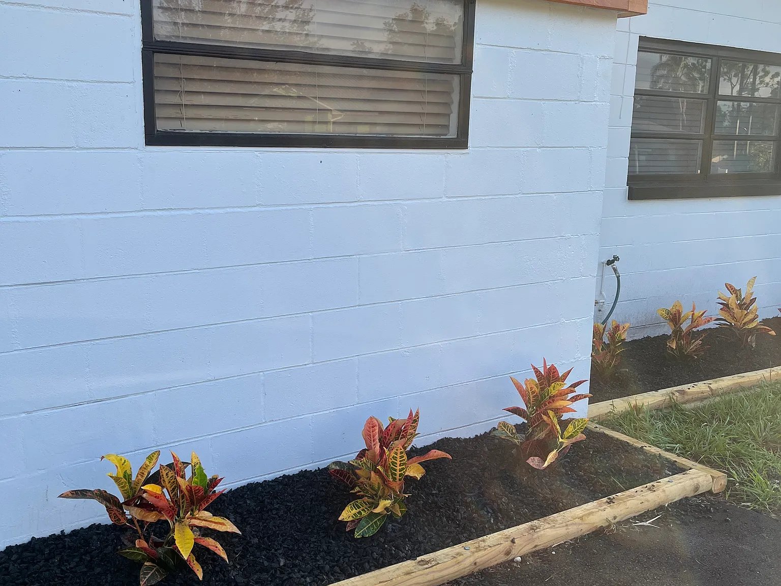 2 bed, 883 sqft, $1,700 — Photo 4