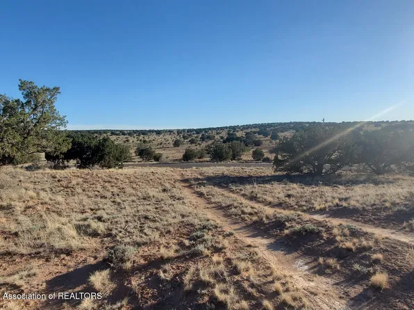 269 Windmill, Carrizozo, NM 88301