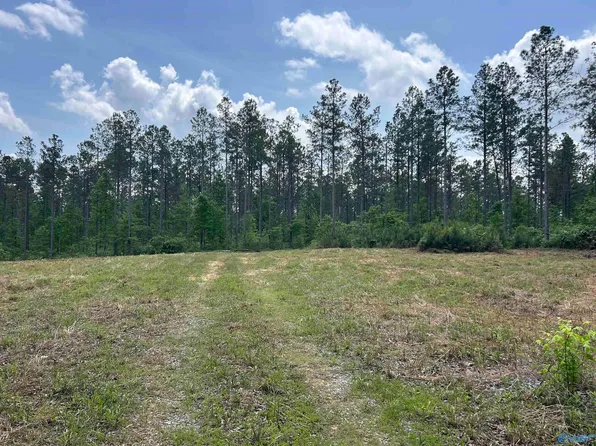 County Road 1208, Vinemont, AL 35179