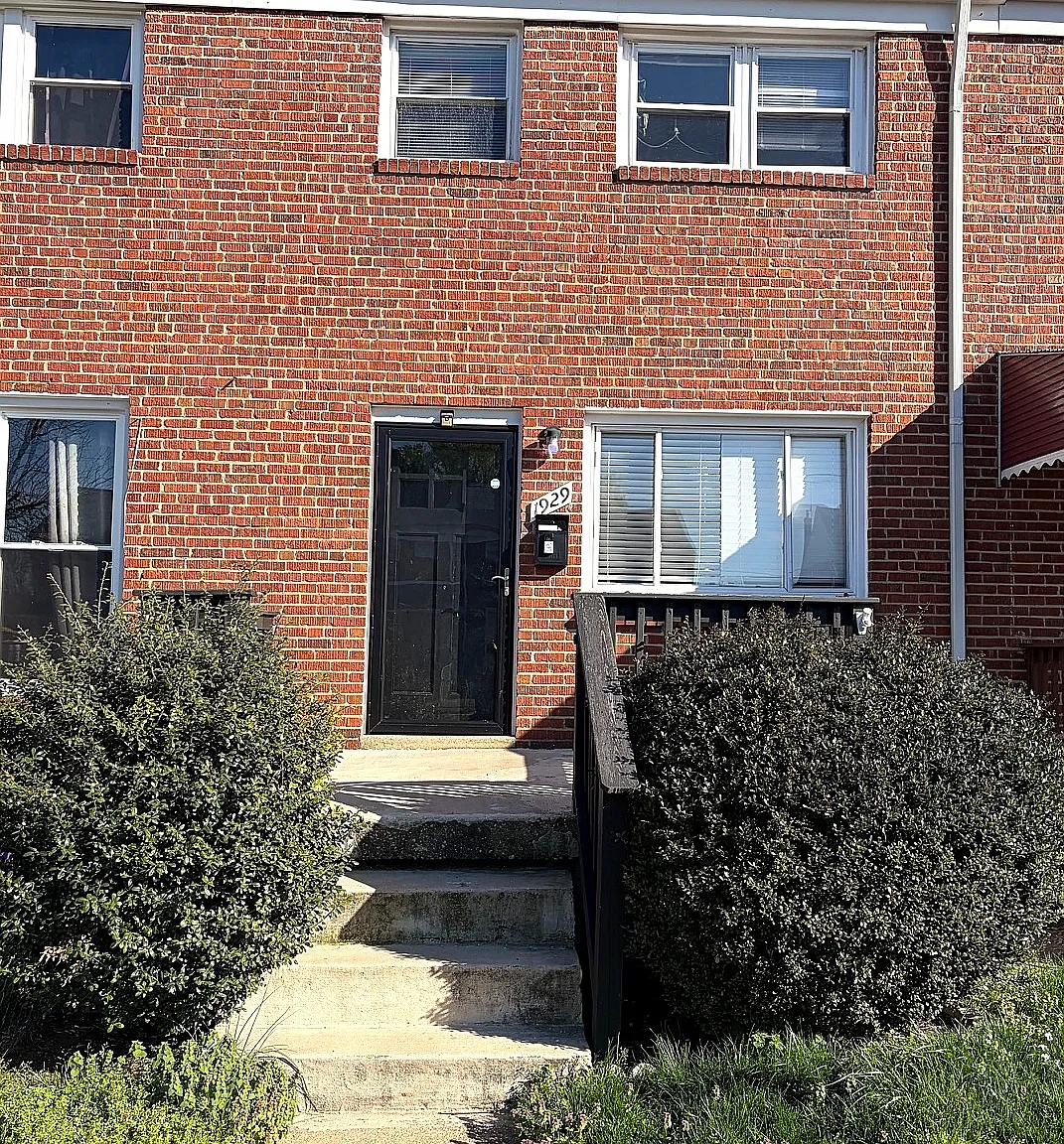 1929 Jasmine — Photo 2