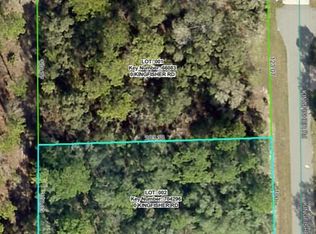 LOT 1 Kingfisher Rd, Brooksville, FL 34614