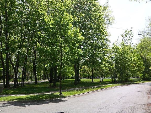 Greenspace View From Front