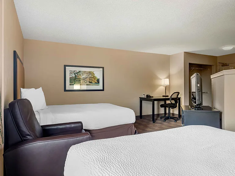 Studio Suite - 1 Queen and 1 Full Bed