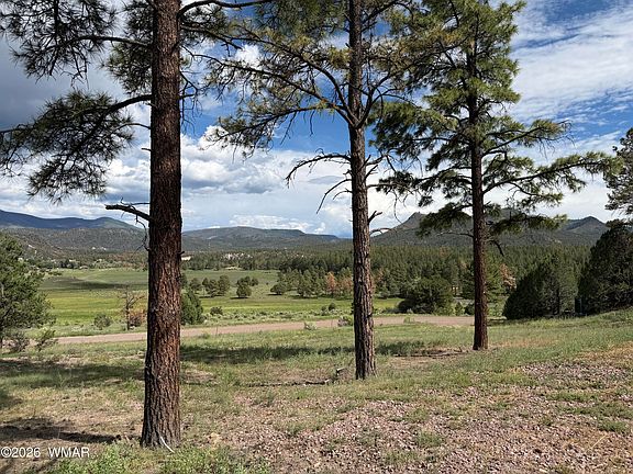 4th image of LOT 52 County Road 2225