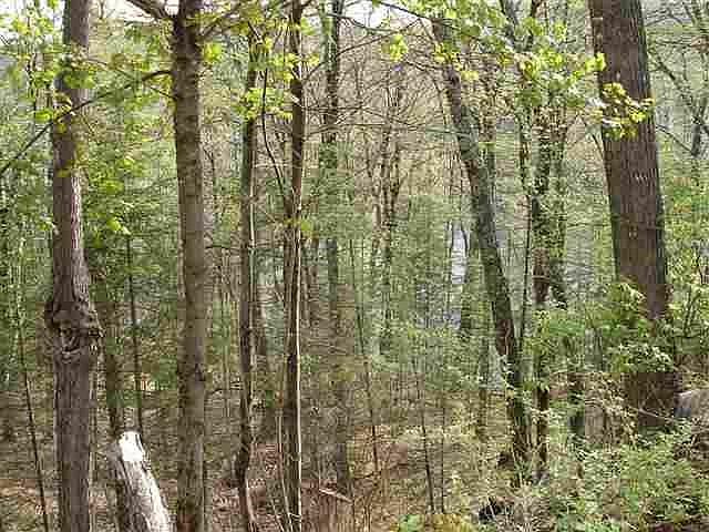 2nd image of 122 County Road 510
