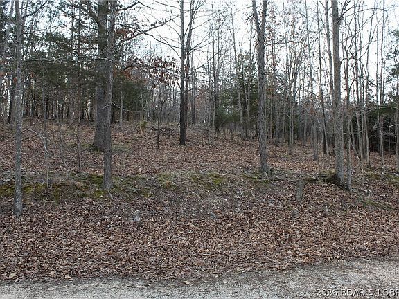 4th image of 39 Gray Wolf Rd