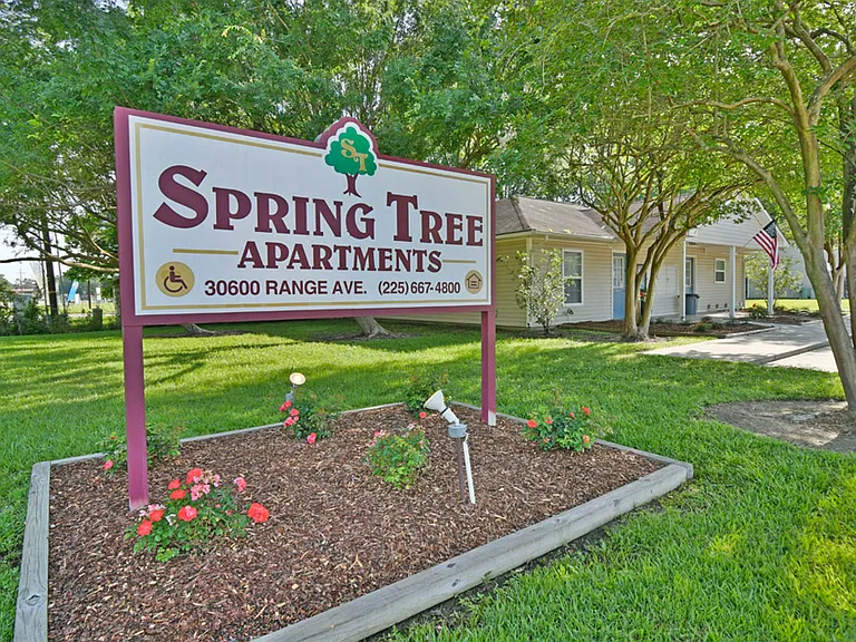 Spring Tree Apartments — Photo 6