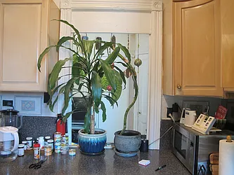 Rented by Dwell Residential Inc