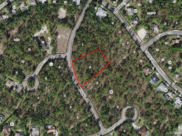 97 Athenia Dr, Homosassa, FL 34446