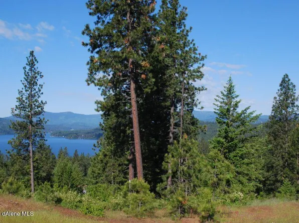 5895 S Grainger Ct, Harrison, ID 83833
