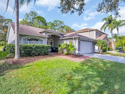 12929 Royal George Ave, Odessa, FL, 33556