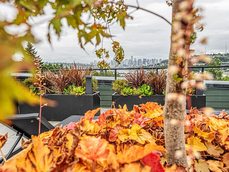Welcome to Reed! Brand New Modern Studios with Full Appliance Package & Amenities in Fremont — Photo 49