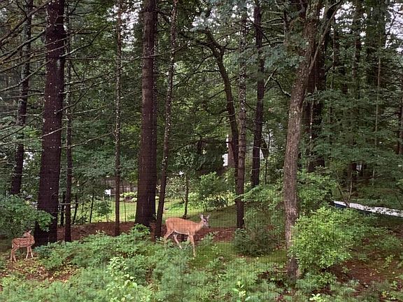 Frequent visitors to conservation land