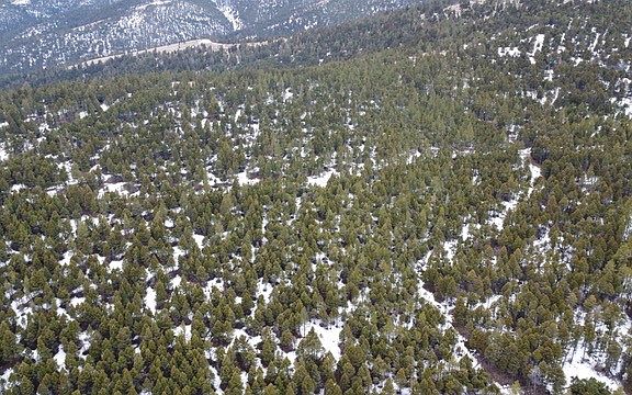 3rd image of Tbd Turk Rd