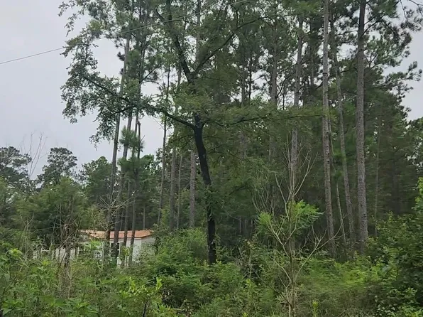 11 Scarlet Oak Dr, Plantersville, TX 77363