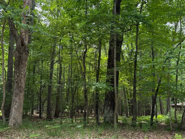 LOT 127 Wayne Ave, Pentwater, MI 49449