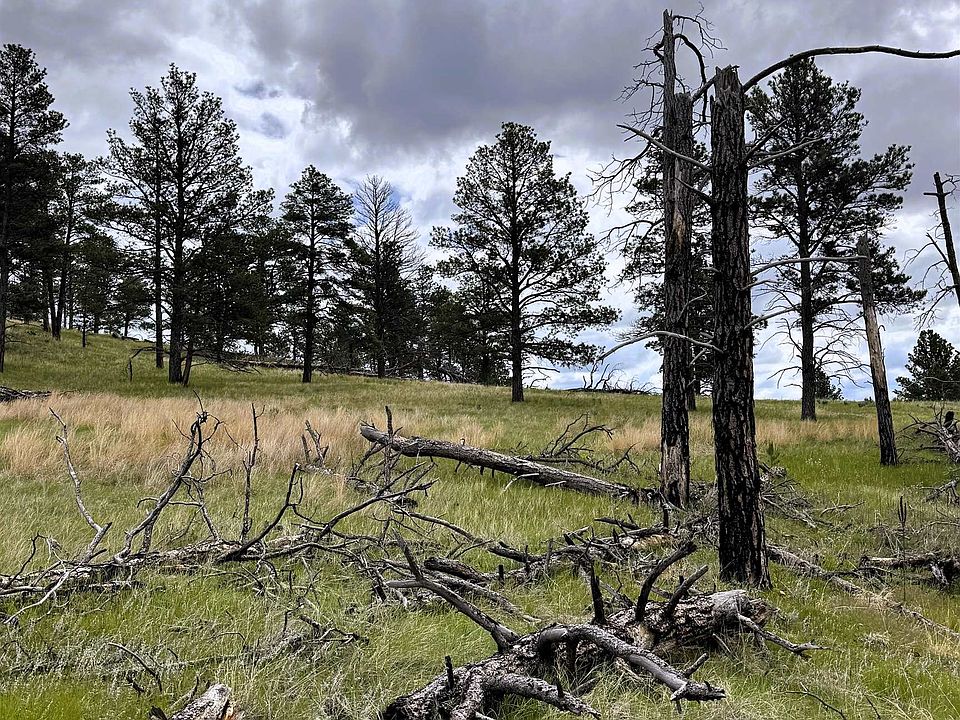 2nd image of 165 Gruenhagen Rd