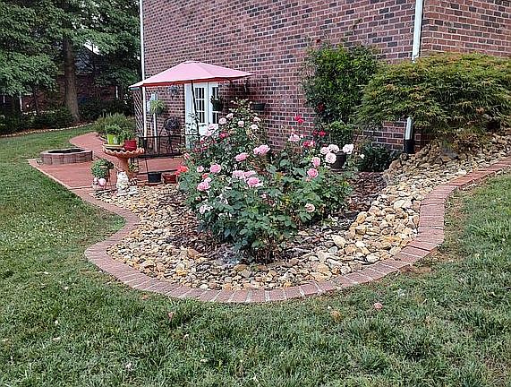 Roses by the bush
