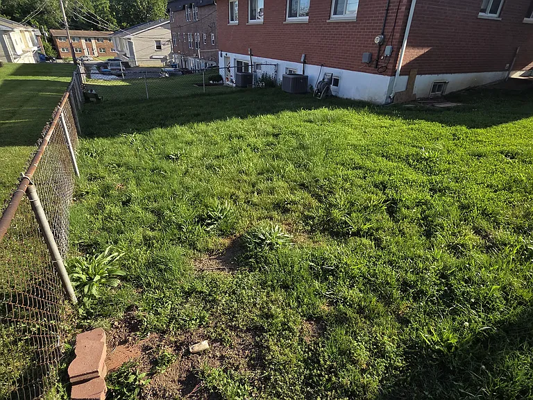 Fenced Backyard