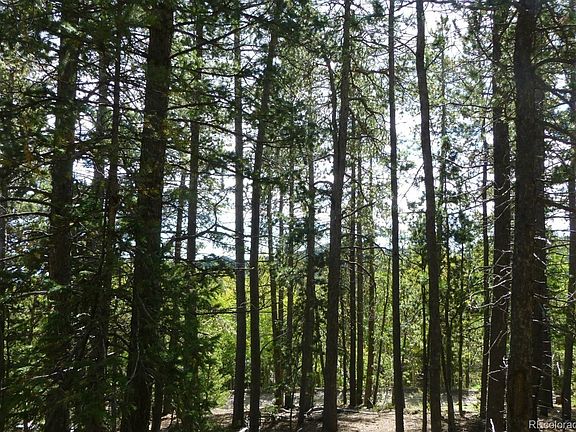 4th image of 000 Lodgepole Drive