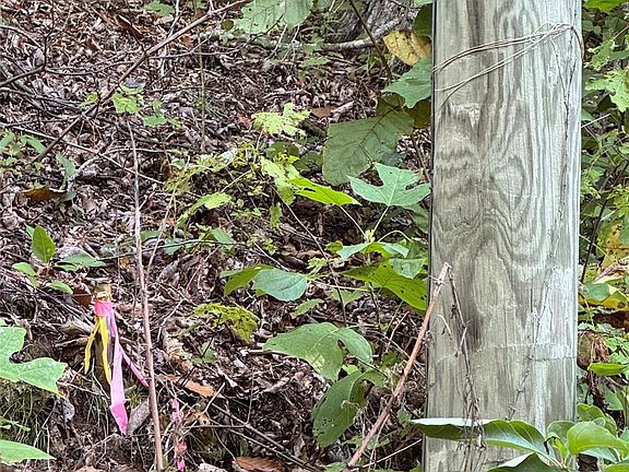 3rd image of Tbd Red Oak Forest Rd