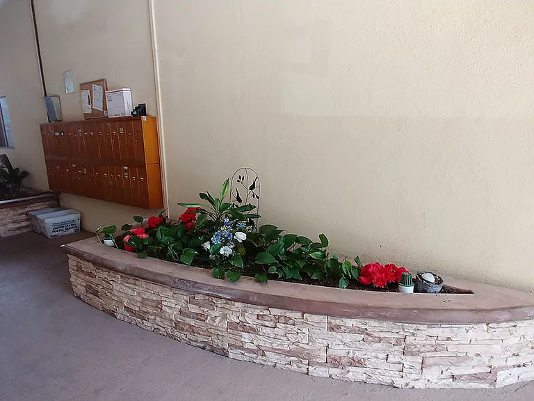 Courtyard at Cordova Apts — Photo 4