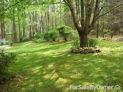 view of yard, right side of house