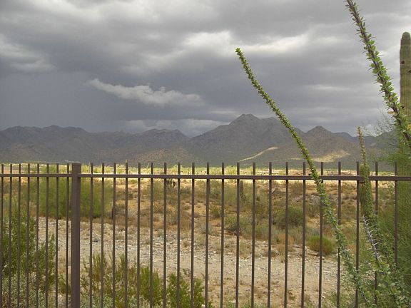 Backyard View