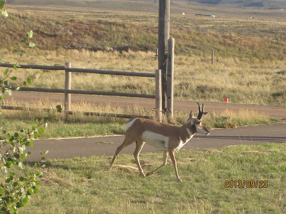 3rd image of 6741 Black Elk Trl