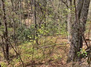 32 Sassafras Ct, Sapphire, NC 28774