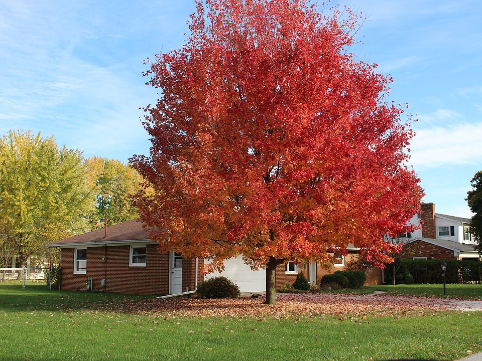 1st image of 161 Riverview Dr