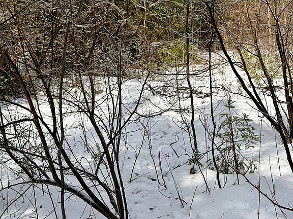 5th image of 1490 Calcut Rd