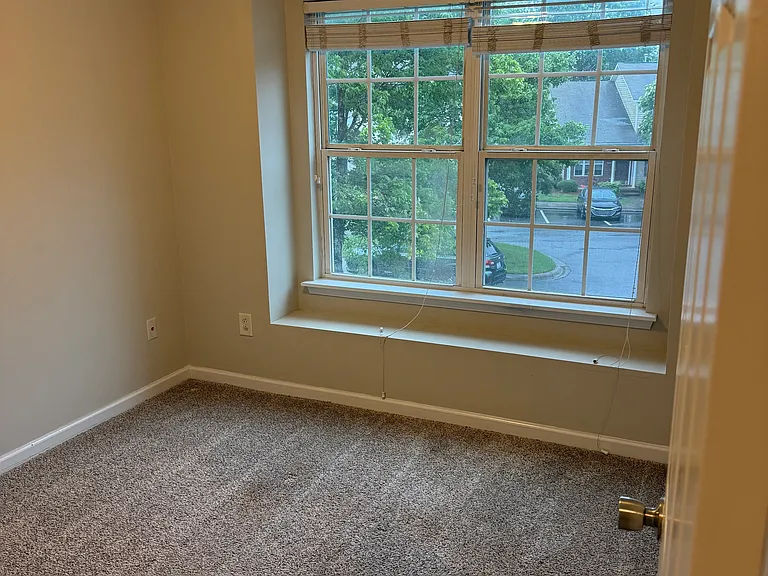 10143 Ballyclare Ct — Photo 15