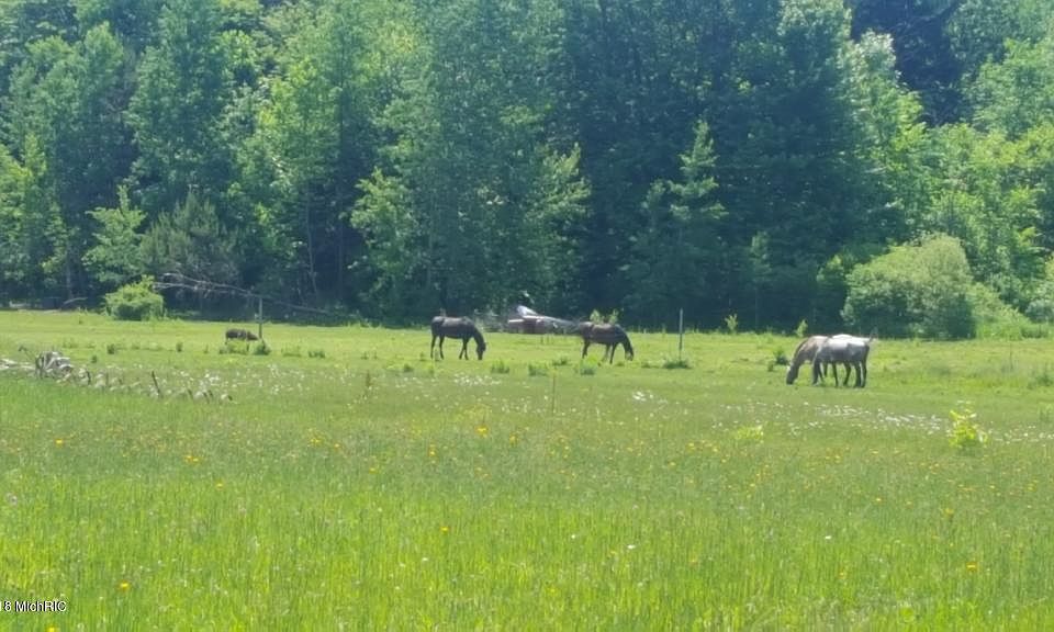 2nd image of 22365 County Road 681