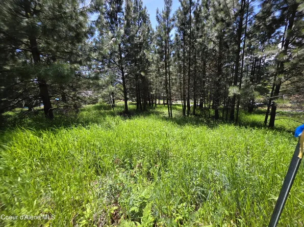 Westview Dr, Harrison, ID 83833