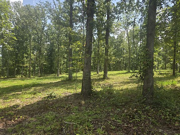 2nd image of 655 Dyer Rd Lot 5