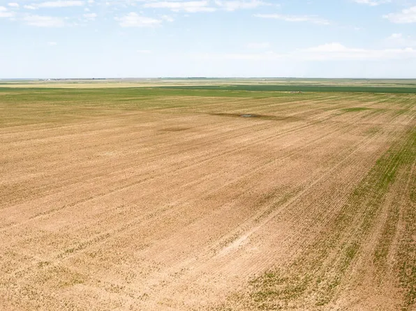 334 Street, Holabird, SD 57540