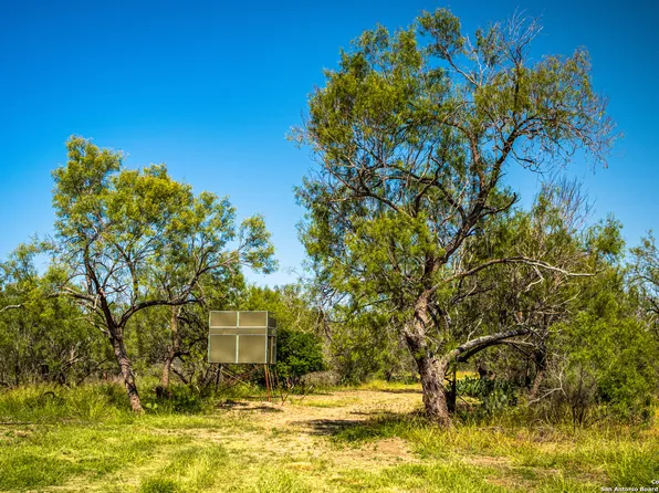 133 Gasca Ln, Big Wells, TX 78838