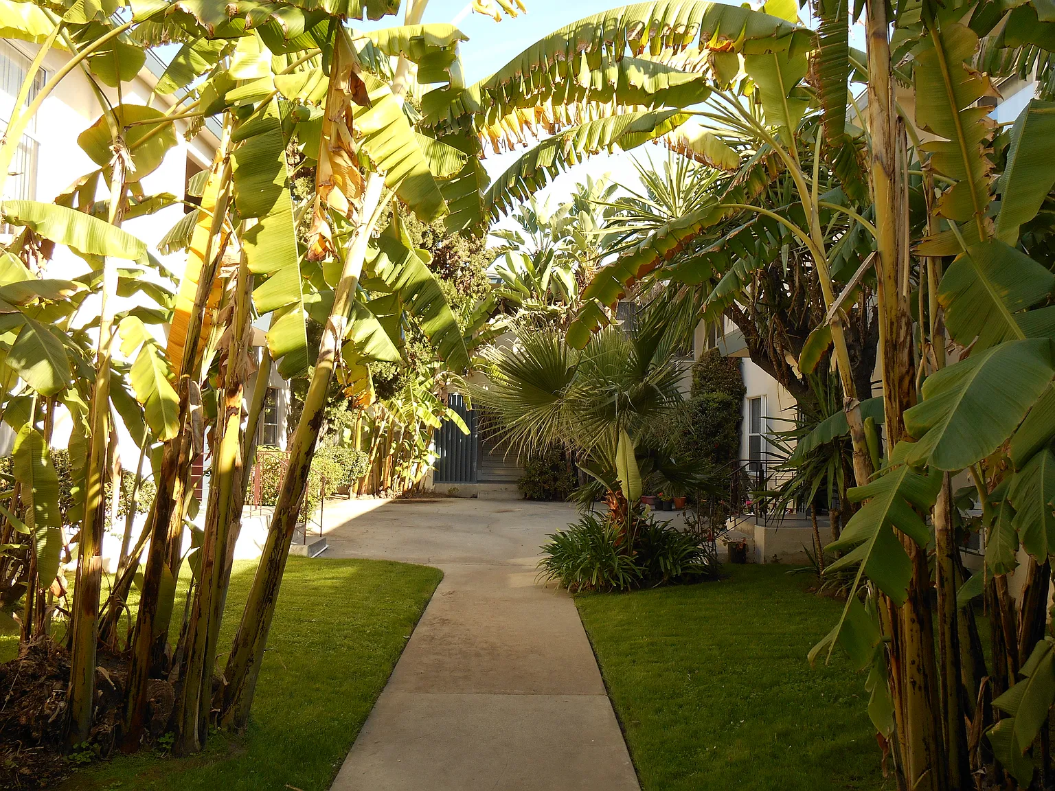 Magnolia Apartments — Photo 4