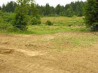 2nd image of 5715 Kings Valley Rd