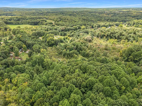 Pioneer Rd, Marcellus, MI 49067