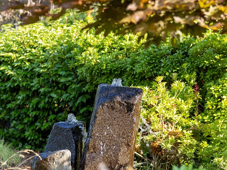 Cliffside — Photo 29