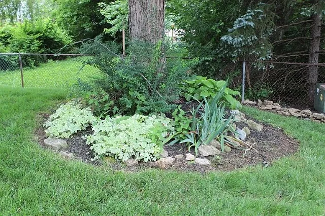 Property photo 5