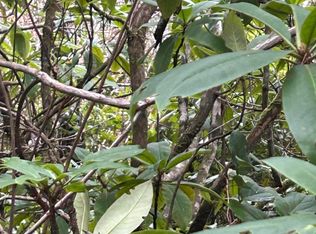 Tl309 Kinglet St, Seal Rock, OR