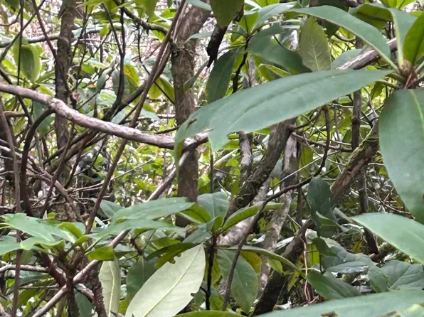 Tl309 Kinglet St, Seal Rock, OR 97376